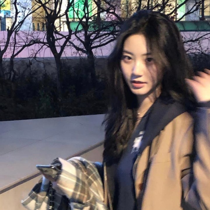 半妖的夜叉姬第一季